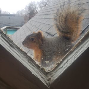 Meet your Posher, Cathy